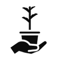Icon Hand hält Topf mit Pflanzensetzling