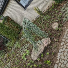 Gartengestaltung mit gepflastertem Weg und Pflanzen